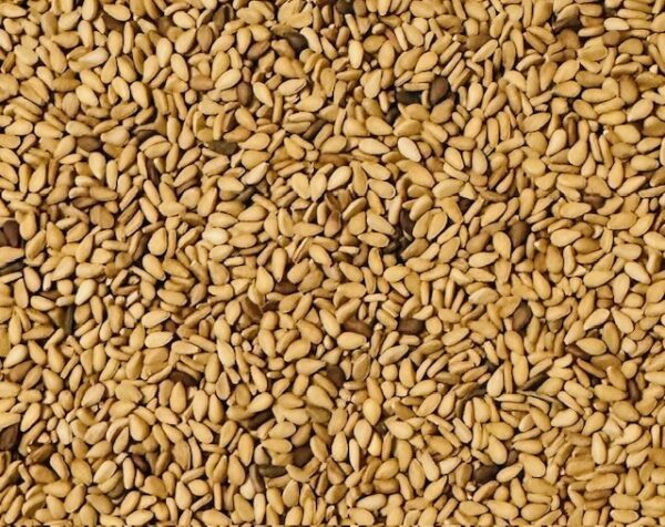 Yellow White Sesame Seed - Image 2