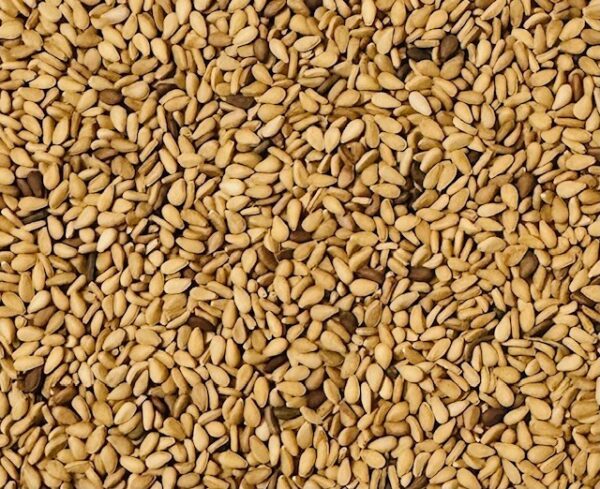 Yellow White Sesame Seed - Image 3