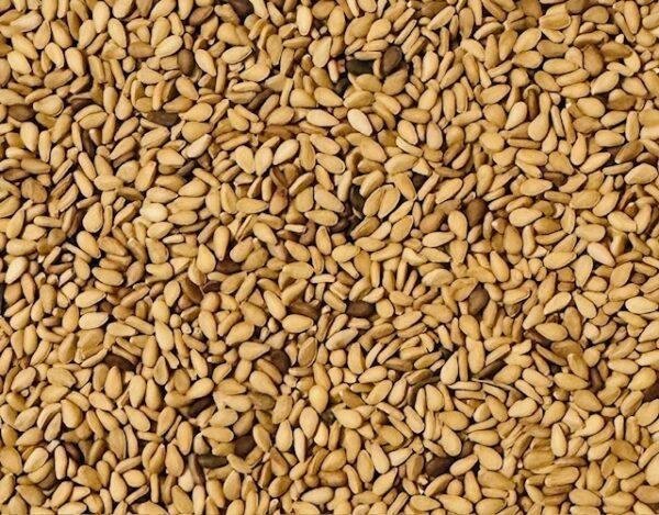 Yellow White Sesame Seed - Image 4