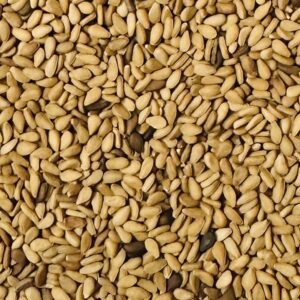 Yellow White Sesame Seed